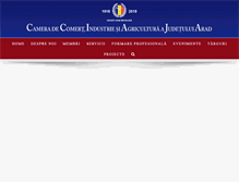 Tablet Screenshot of ccia-arad.ro
